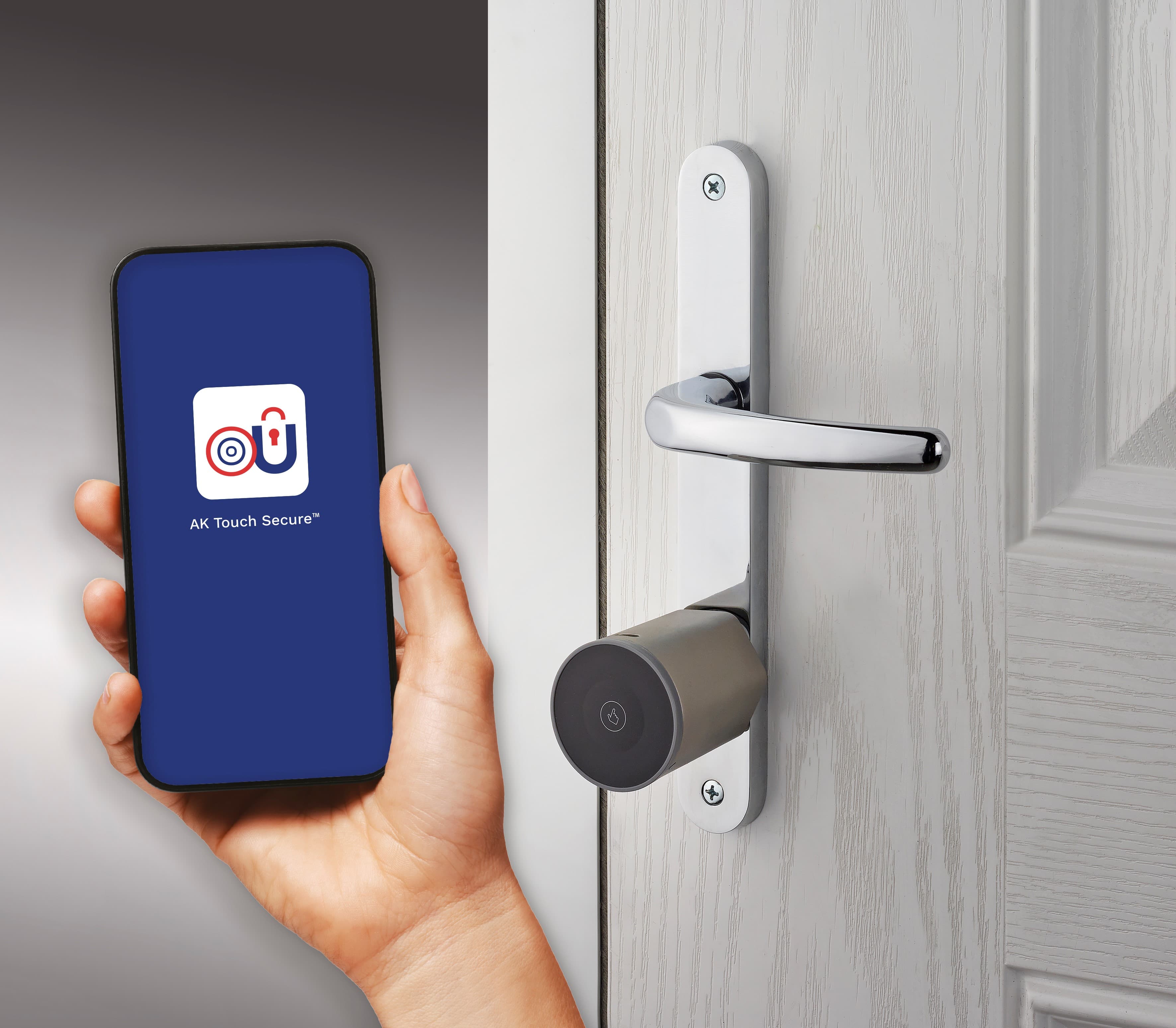 Multiple Secure Entry Methods